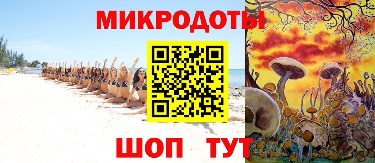 Галлюциногенные грибы Cubensis Алексеевка