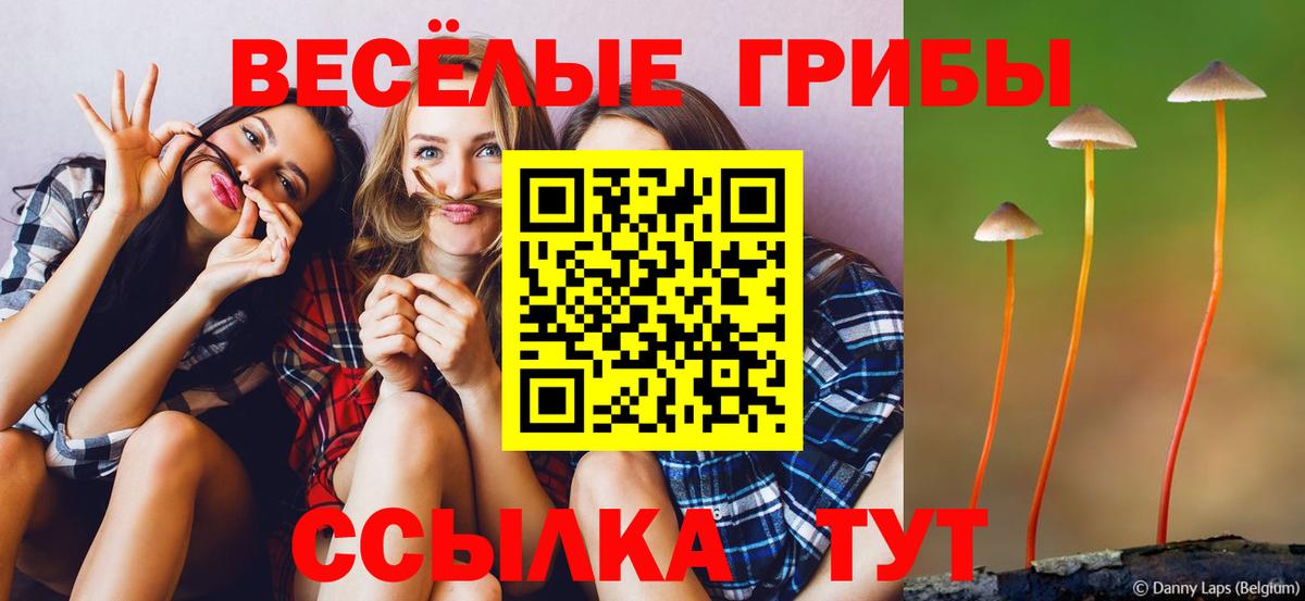 Псилоцибиновые грибы мицелий  Вход с VPN  Алексеевка 